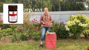 ИЗБАВЛЯЕМСЯ ОТ БЕЛОКРЫЛКИ НАВСЕГДА!!! #белокрылка #вредители #огород #теплица