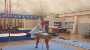 Конь-махи | Pommel Horse ?