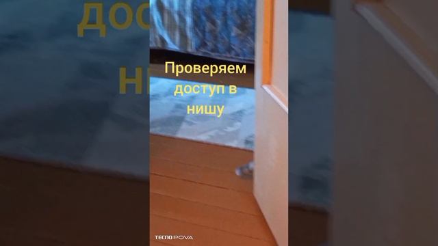 Обычный день кошки, как она его проводит? ? смотреть онлайн