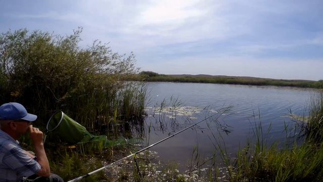 Поездка на плеса. смотреть онлайн