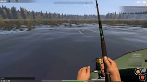 Fisher Online: Печора, Сиг пыжьян