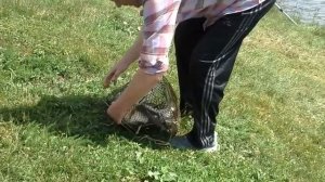 Рыбалка в Белгороде 2019 год