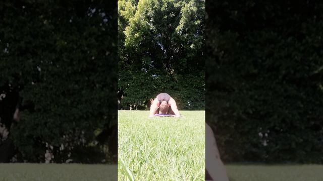 растяжка для самых начинающих деревянных пухликов с LazyRoma смотреть онлайн