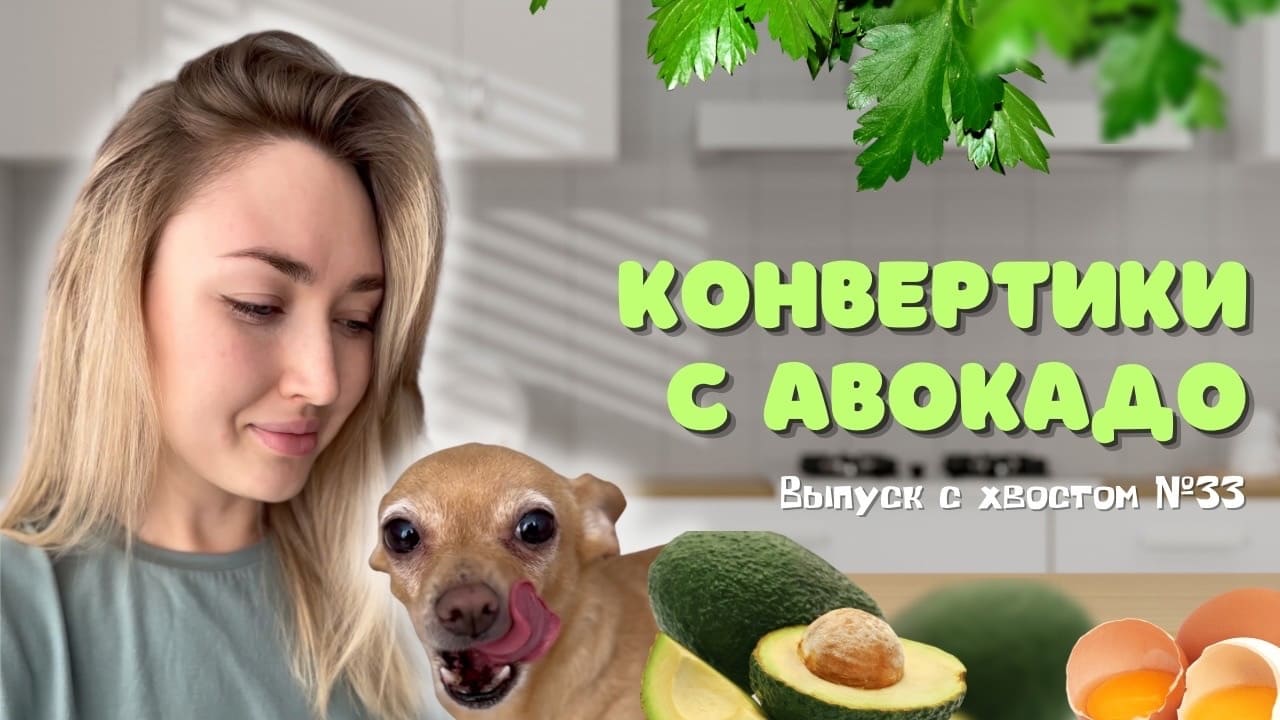 Пп рецепты | Конвертики с авокадо |Кулинария | НастяБургер #33