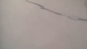Как стать волком или обротьнем