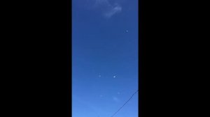 Свердловские черноголовые