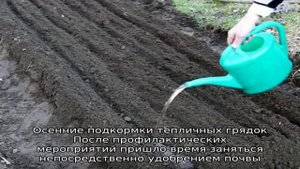 Осенние работы в теплице: убираем и удобряем грядки