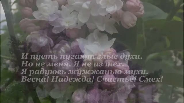 Запах сирени. Автор Светлана Долгая-Абрамян смотреть онлайн