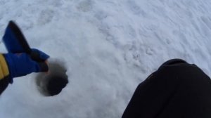 Зимняя рыбалка. Ловля форели на резину.