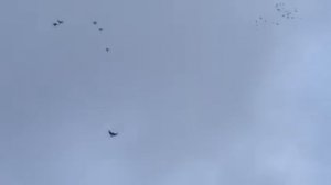 ? Николаевские голуби 2021. Гоняем Николаевских голубей. Полёт Николаевских голубей Украина ??