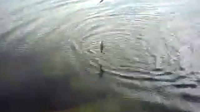 озеро Иткуль рыбалка 08 07 2012