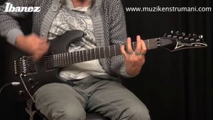 Ibanez S420 WK Elektro Gitar