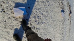 для охоты на зайца "подбираем номер дроби"