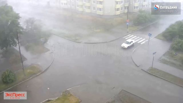 Упало дерево. 30.6.2018