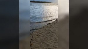 Ночная рыбалка на налима в нижневартовске на реке вах