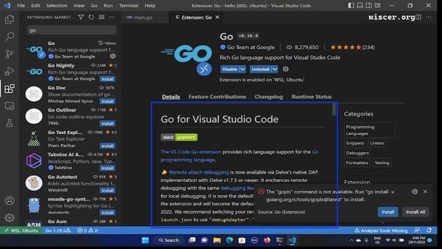 Install `Go` VSCode Remote Extension for Ubuntu WSL2 смотреть онлайн