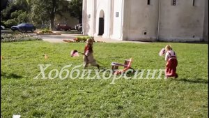 Живая история Ярославля