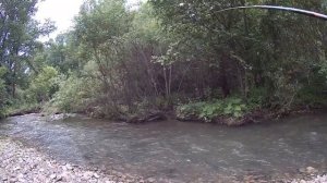 июль 2020. рыбалка в Приморье на заросшем лесном ручье после дождей