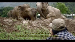 Zaříkávačka slonů z útulku Chiang Mai