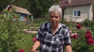 Голова садовая - Поговорим о Пионах