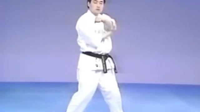 22 - Блоки - Сейкен Чудан Учи Уке смотреть онлайн