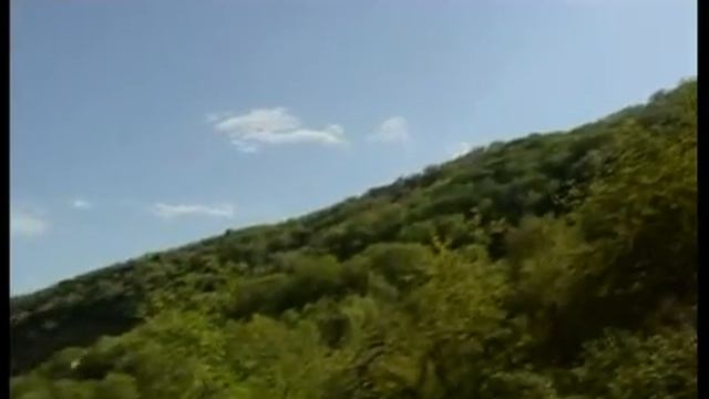 Walnut - The Tree of the Future смотреть онлайн