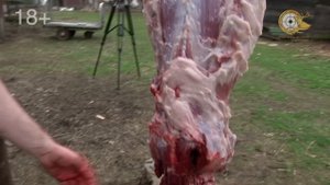Разделка кабана. Butchering a wild boar.