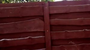 Красивый  Забор из необрезной доски
