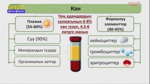 8-класс | Биология  | Организмдин ички чөйрөсү