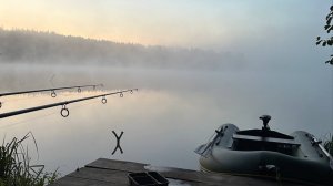 Ловля дикого карпа на лесном водоеме