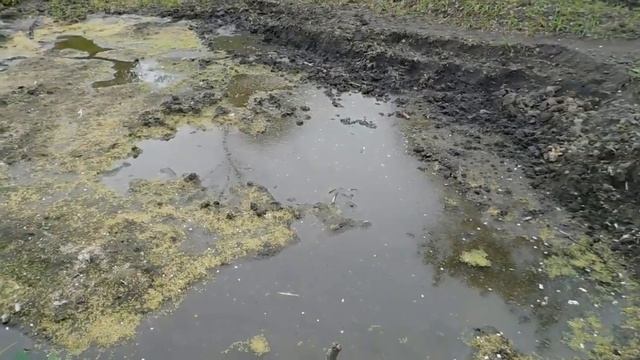 Копаем свой пруд в саду! Продолжаем углублять, расширять своё ОЗЕРО!