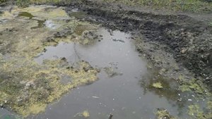 Копаем свой пруд в саду! Продолжаем углублять, расширять своё ОЗЕРО!