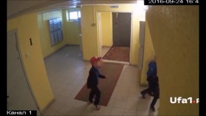 Дети скинули кота с многоэтажки