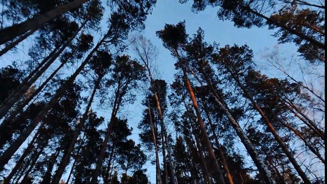 Снегоход за 100 тысяч в 2024 году без ПСМ. Снегоход Рыбинка 4. смотреть онлайн