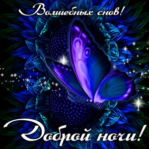 Спокойной и доброй ночи! Пусть звездное небо подарит тебе приятный, добрый и крепкий сон?