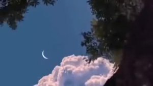 Омар Хишам Рукия