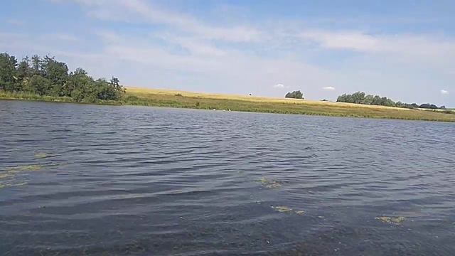 Природа Татарстана озеро с лебедями