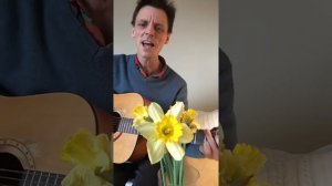 Mr Daffodil dance