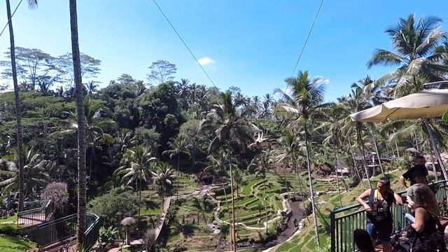 Гуляем по рисовым террасам Tegallalang. Очищаемся в храме Tirta Empul