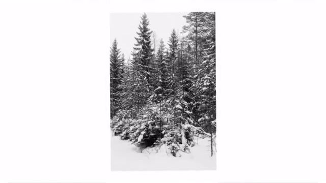 Зимняя сказка смотреть онлайн