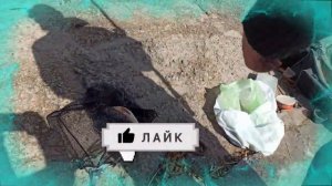 КАК ЛОВИТЬ КАРПА ВЕСНОЙ? Секреты ловли карпа весной для начинающих