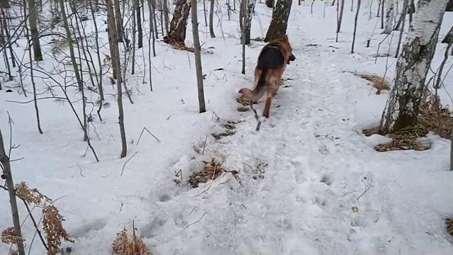 Прогулка