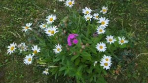 НИЧЕГО НЕ БОЙСЯ... +Православие.  Игумен Никон (Воробьев)