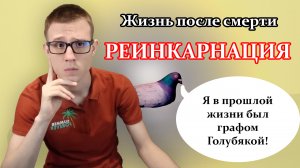 Реинкарнация: есть ли жизнь после смерти? Размышления на тему реинкарнации.