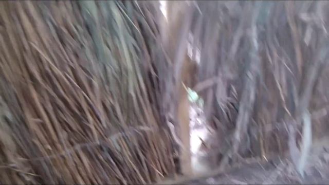 СДЕЛАТЬ ПРИСТРОЙКУ КАМЫШИТОВЫМИ ПЛИТАМИ ЗА 10 ТЫСЯЧ смотреть онлайн