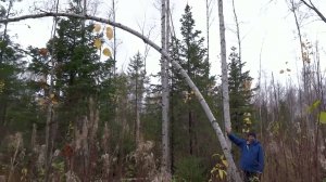 А. Г. Бакаев об аномальной зоне и посадке НЛО