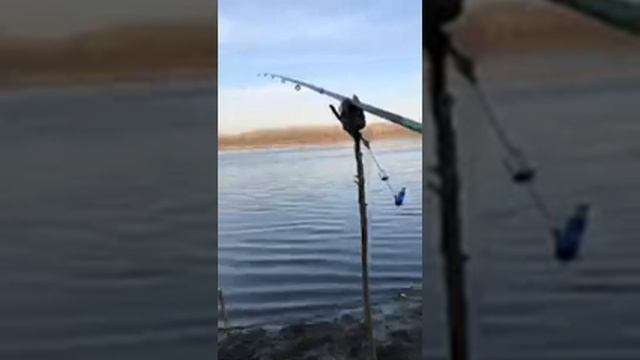 Река Томь Кемерово