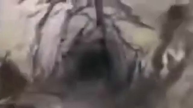 Тайны Кольской сверхглубокой скважины!Звуки из ада.Жуткие теори.Открыл свою практологическую клиник