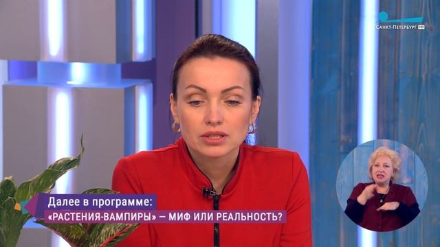 Опасные комнатные растения. Консультация цветовода смотреть онлайн