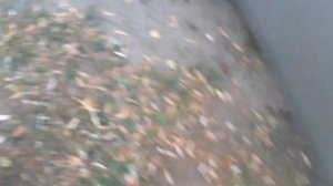 Стук после регулировки клапанов аккорд 7